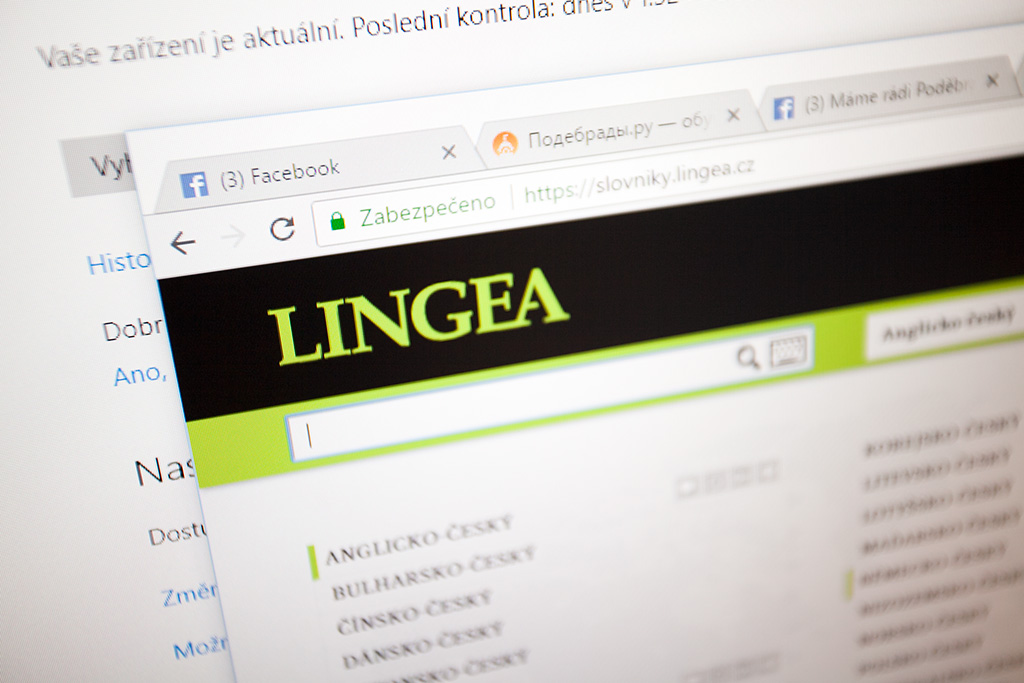 Lingea